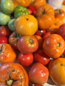 Pile of red, orange, yellow and green tomatoes