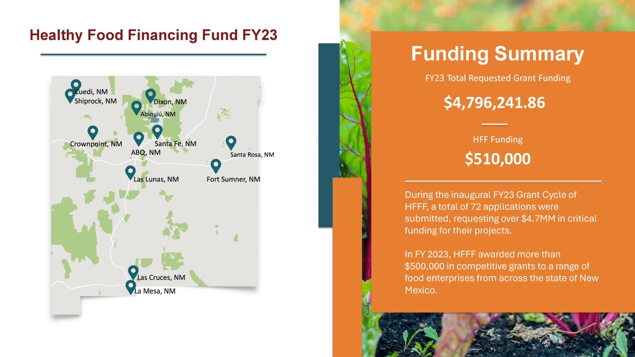 Finance Development 2023 Healthy food financing fund map