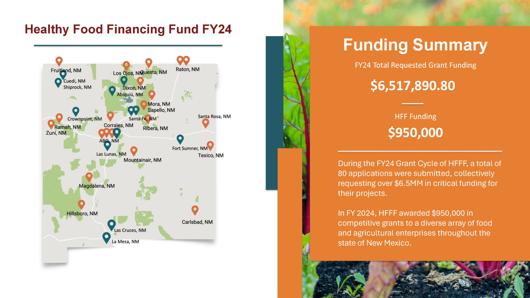 Finance Development 2024 Healthy food financing fund map