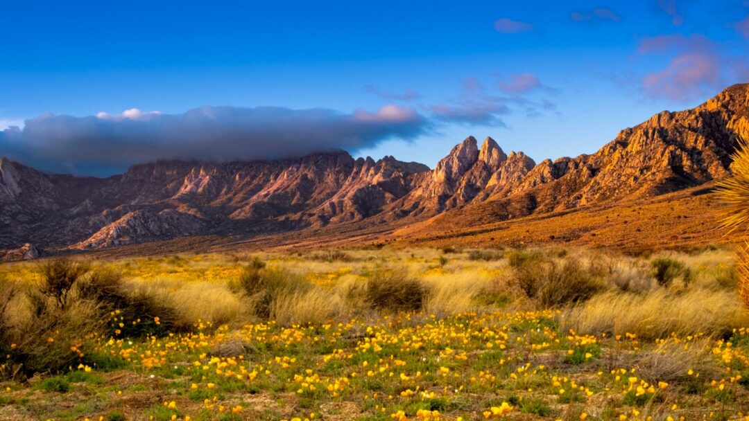 New Mexico returns to SXSW as the next frontier for innovation