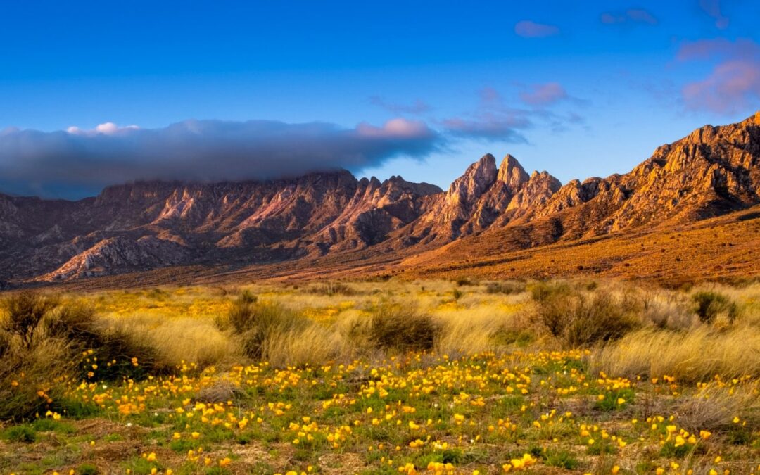 New Mexico returns to SXSW as the next frontier for innovation