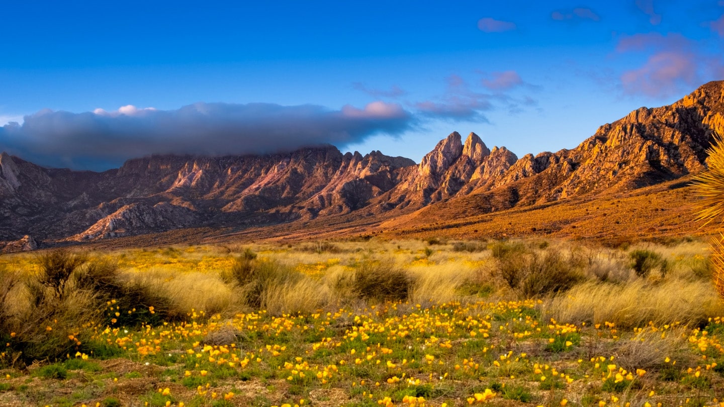 New Mexico returns to SXSW as the next frontier for innovation