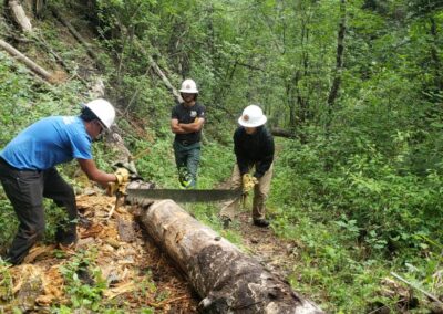 3 people in hardhats cutting wood in forested area.
