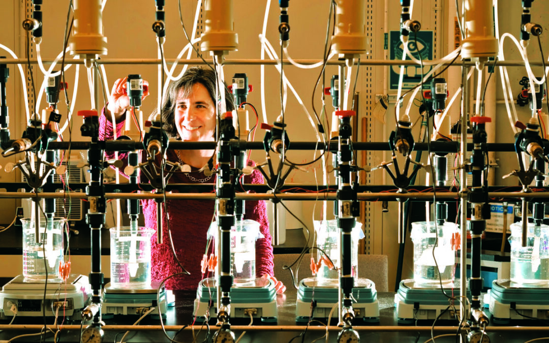 State launches advisory board to guide $200M investment