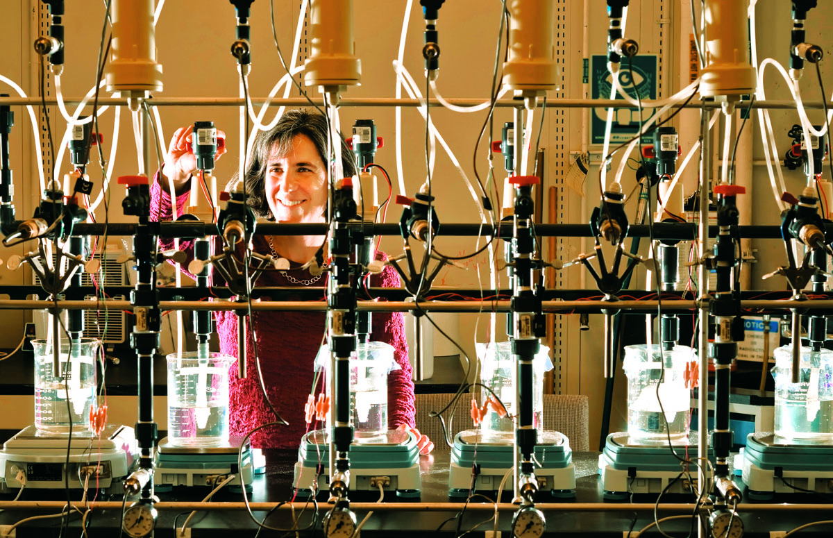 Scientist looking at beakers